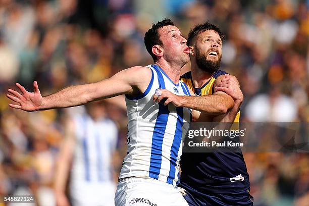 Todd Goldstein of the Kangaroos and Mitchell Brown of the Eagles contest a boundary throw in during the round 16 AFL match between the West Coast...