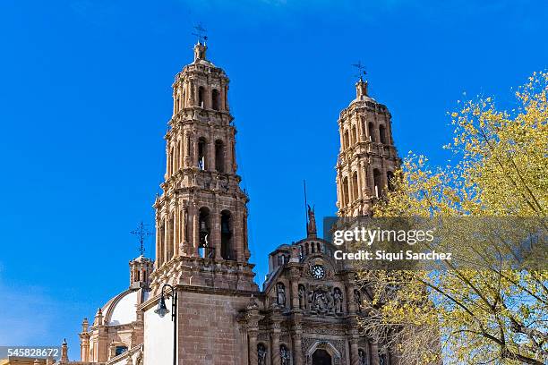 chihuahua, méxico - chihuahua mexico stock pictures, royalty-free photos & images