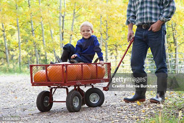 boy riding on wagon with pumpkins - bollerwagen mann stock-fotos und bilder