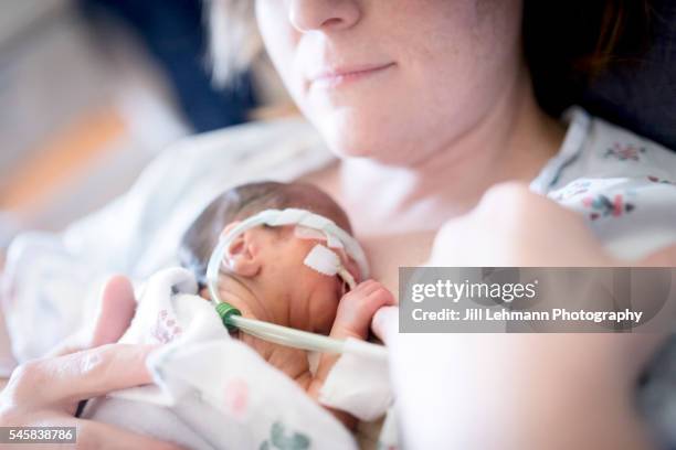 premature baby is held by mother - neonatal intensive care unit 個照片及圖片檔