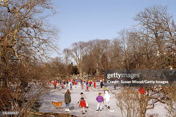 View of people skating on the pond, East Hampton, New York, January 1992.