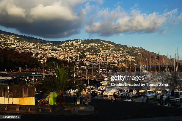 in funchal port - funchal bay bildbanksfoton och bilder