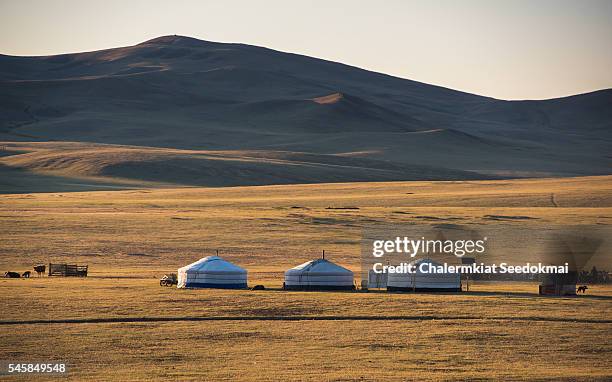 get camp in gobi desert , mongolia - ステップ地帯 ストックフォトと画像