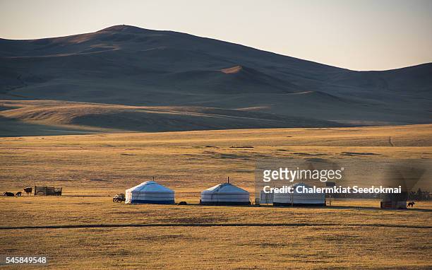 get camp in gobi desert , mongolia - semi arid stock pictures, royalty-free photos & images