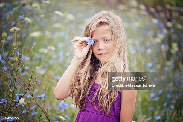 portrait of young girl standing in chicory field holding a flower - chicory stock pictures, royalty-free photos & images