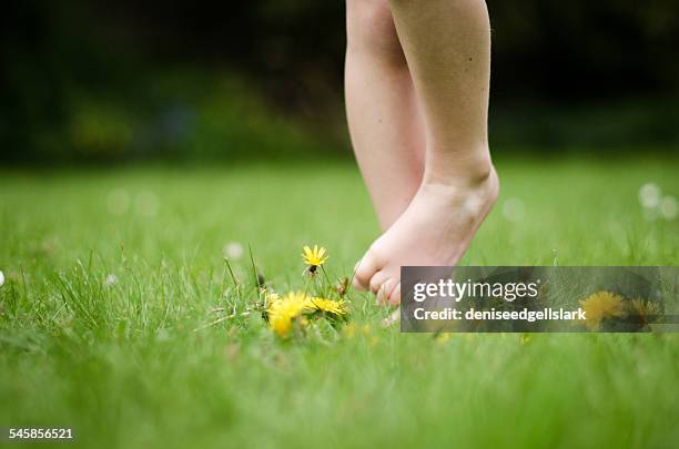 barefoot boy standing in grass - tickling feet stock pictures, royalty-free photos & images