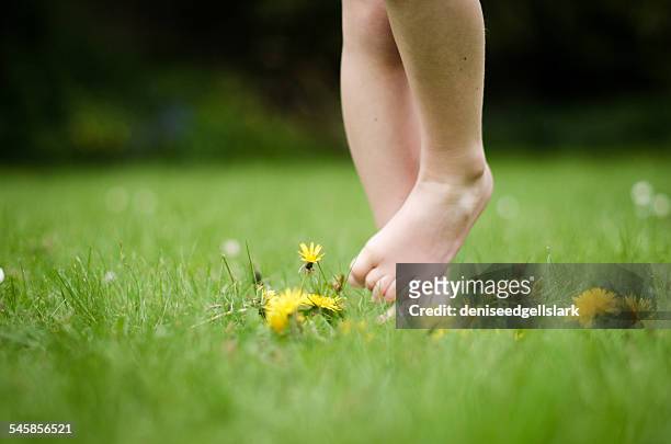 barefoot boy standing in grass - tickling feet 個照片及圖片檔