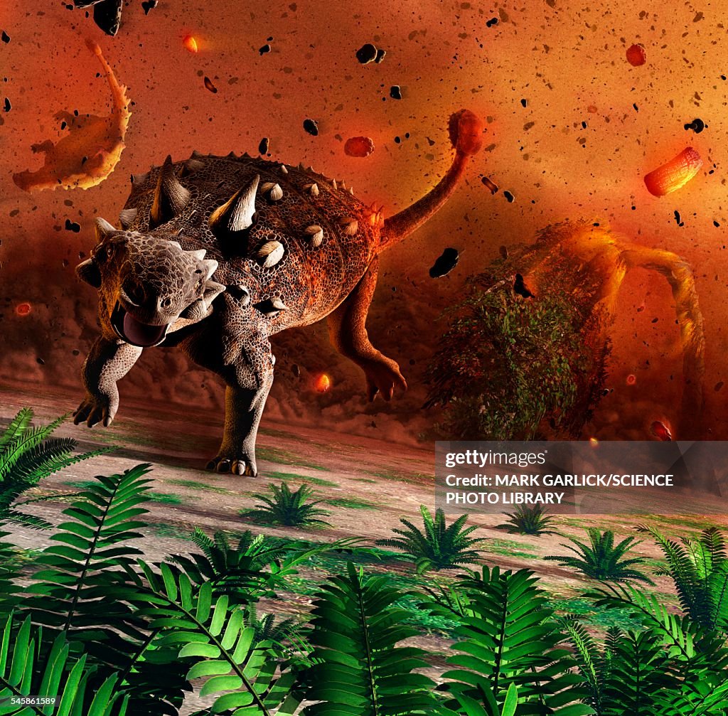 Ankylosaurs caught in blast wave