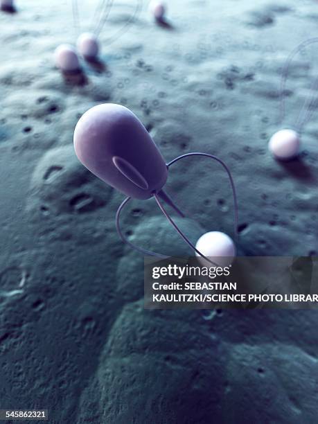 nanobot, illustration - nanobot stock-grafiken, -clipart, -cartoons und -symbole