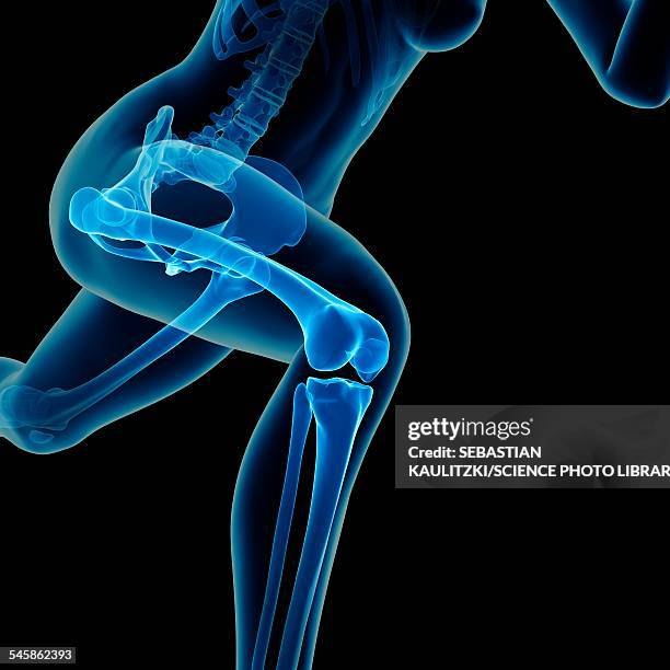 skeletal system of jogger, illustration - leg exercise stock illustrations