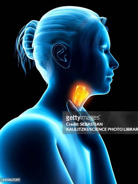 inflammation of the larynx, illustration - sore throat stock illustrations