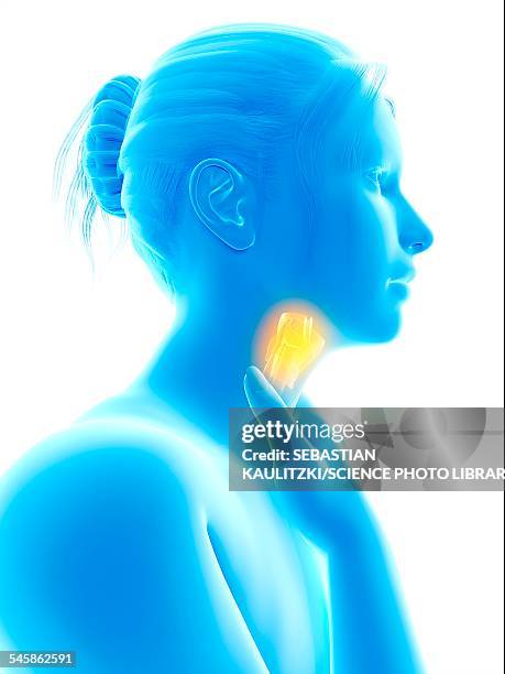 inflammation of the larynx, illustration - swollen stock illustrations