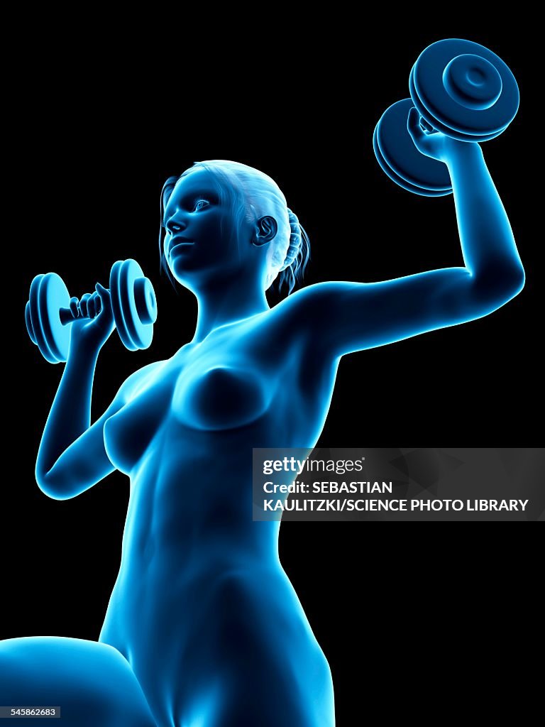 Woman weight training, illustration