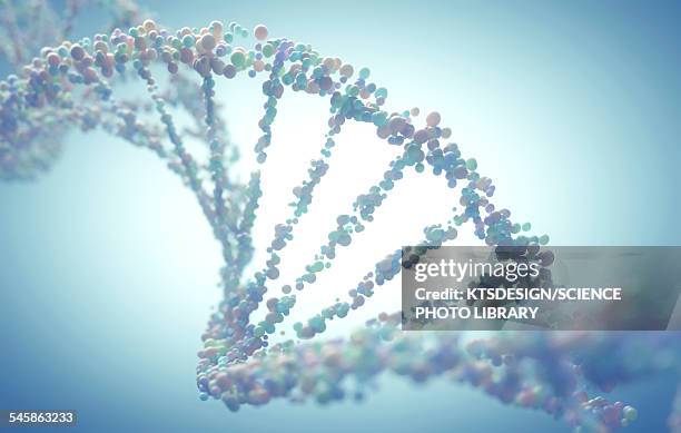 ilustrações de stock, clip art, desenhos animados e ícones de dna molecule, illustration - investigação genética