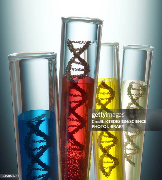 illustrations, cliparts, dessins animés et icônes de test tubes containing dna, illustration - manipulation génétique