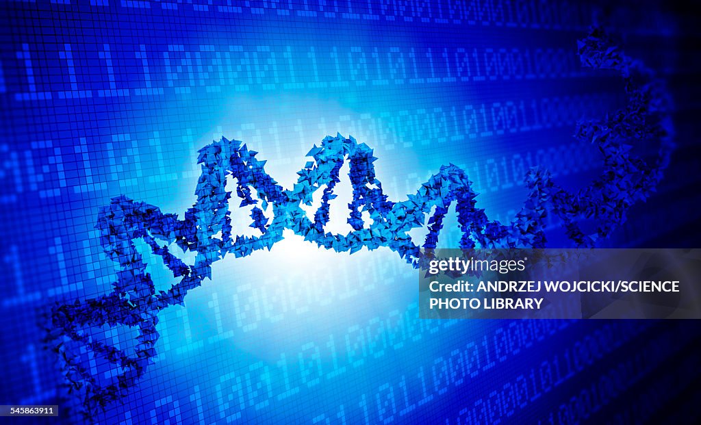 Dna Computer Code Dna And Binary Code Illustration High-Res Vector Graphic - Getty Images