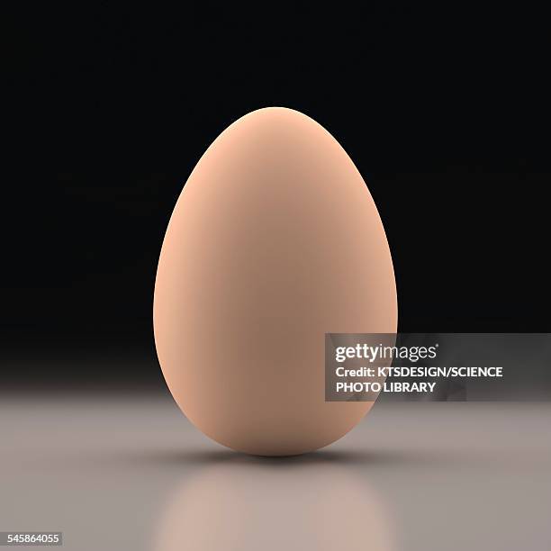 Oval Objects. Examples 25,175 Oval Shaped Objects Stock Photos, High-Res Pictures, and Images ...