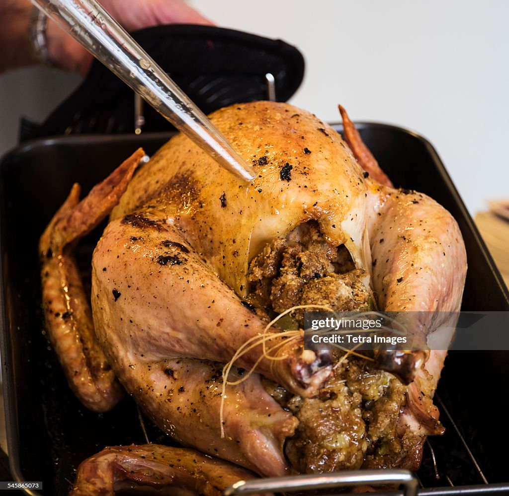 Person basting thanksgiving turkey