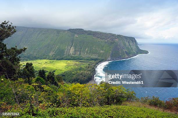 usa, hawaii, big island, view to waipio valley and bay - waipio valley stock-fotos und bilder