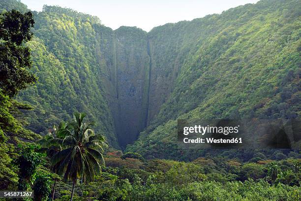 usa, hawaii, big island, waipio valley, dried out kakeha falls - waipio valley stock-fotos und bilder