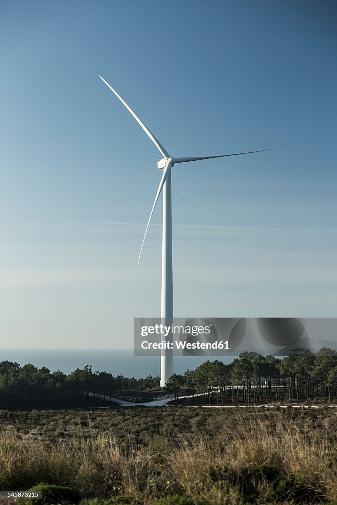 Portugal, Nazare, wind wheel at coast