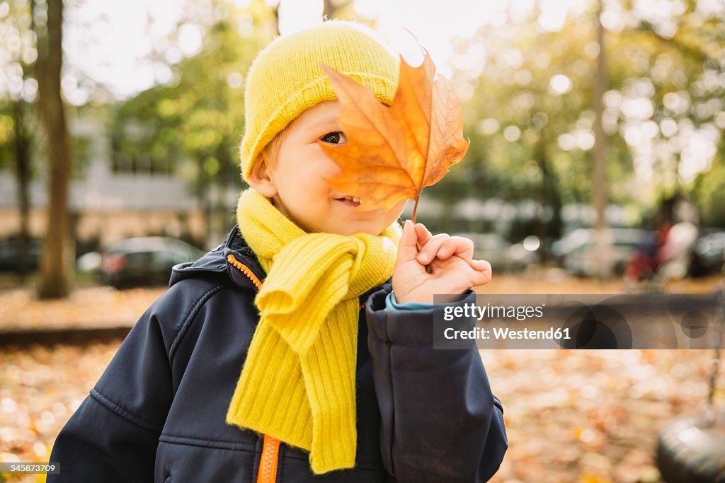 Toddler hiding behind autumn leaf