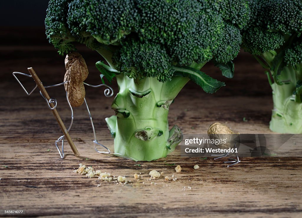 Peanut bird following bread crumbs, peanut man waiting behind broccoli tree