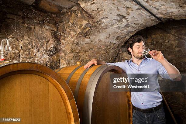 man in wine cellar tasting wine - volkach stock pictures, royalty-free photos & images