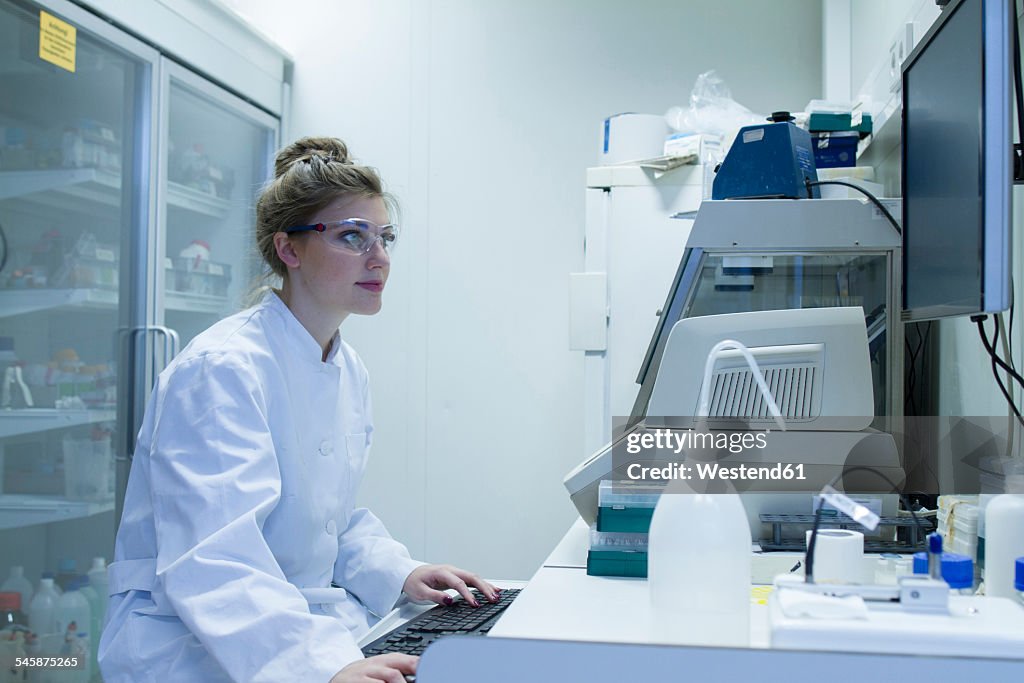 Biologist In Laboratory Working At Computer High-Res Stock Photo ...