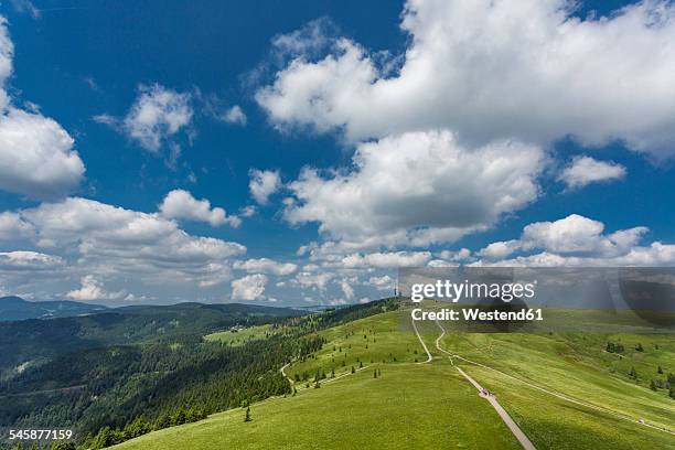 germany, baden-wuerttemberg, black forest, feldberg - baden württemberg stock pictures, royalty-free photos & images