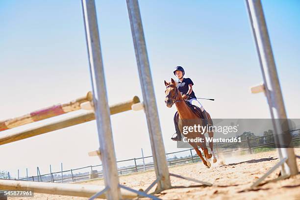 girl with horse on show jumping course - equestrian show jumping stock-fotos und bilder