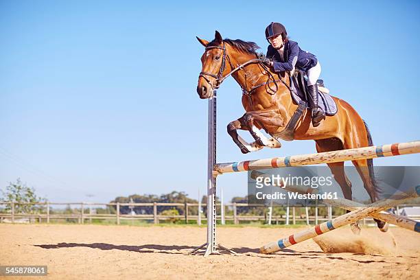 young woman on horse crossing obstacle on course - concurso de saltos ecuestres fotografías e imágenes de stock