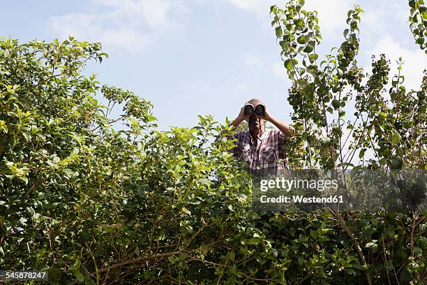 man looking through binoculars over hedge - nachbarn stock-fotos und bilder