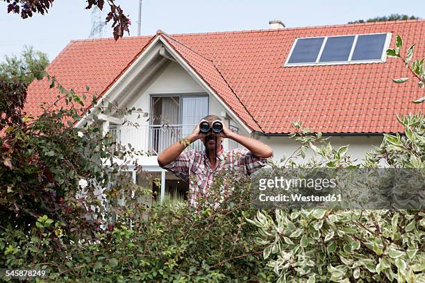 man looking through binoculars over hedge - buren stockfoto's en -beelden
