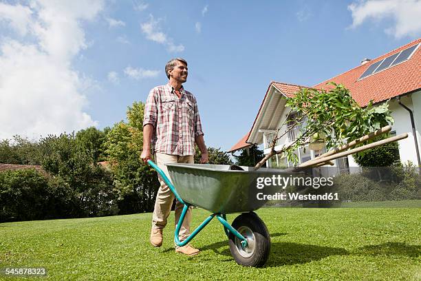 man with wheelbarrow in garden - kruiwagen stockfoto's en -beelden