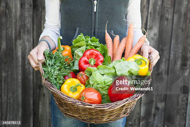 woman holding basket with vegetables - バスケット ストックフォトと画像