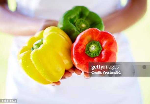 woman's hands holding mixed bell peppers - green bell pepper stock pictures, royalty-free photos & images