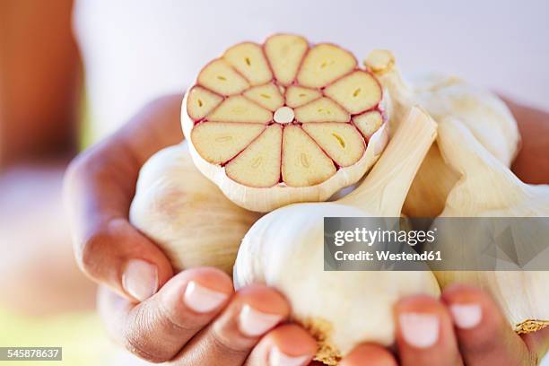 woman's hands holding whole and sliced garlic bulbs - knoblauch stock-fotos und bilder