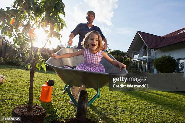 father with daughter in wheelbarrow planting tree in garden - kruiwagen stockfoto's en -beelden