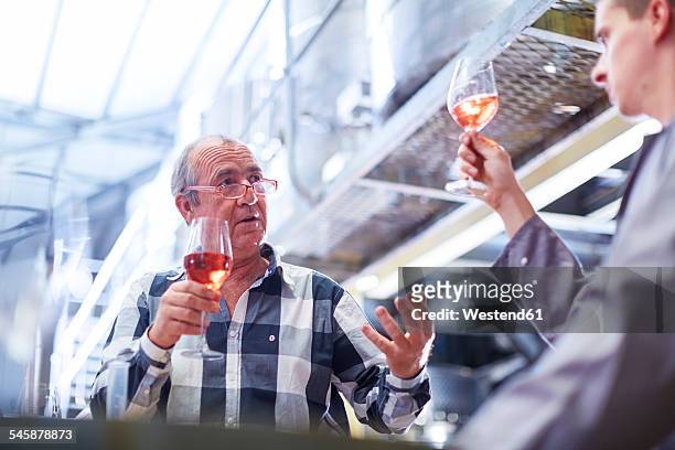 wine makers discussing wine blend - examining wine stock pictures, royalty-free photos & images