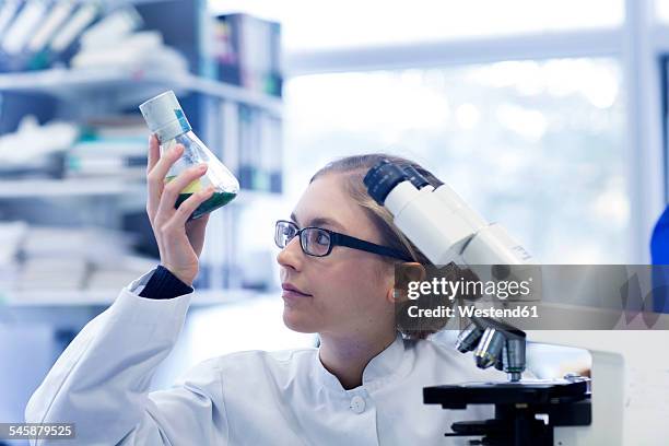 young scientist working in a lab - human hair microscope stock pictures, royalty-free photos & images
