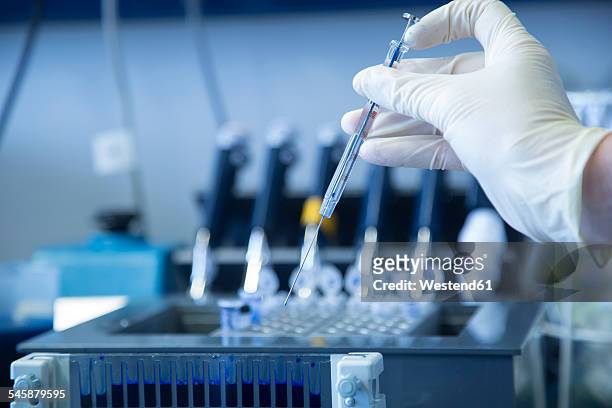 hand with protective glove holding a syringe at biochemistry labroratory - technical medical equipment stock pictures, royalty-free photos & images