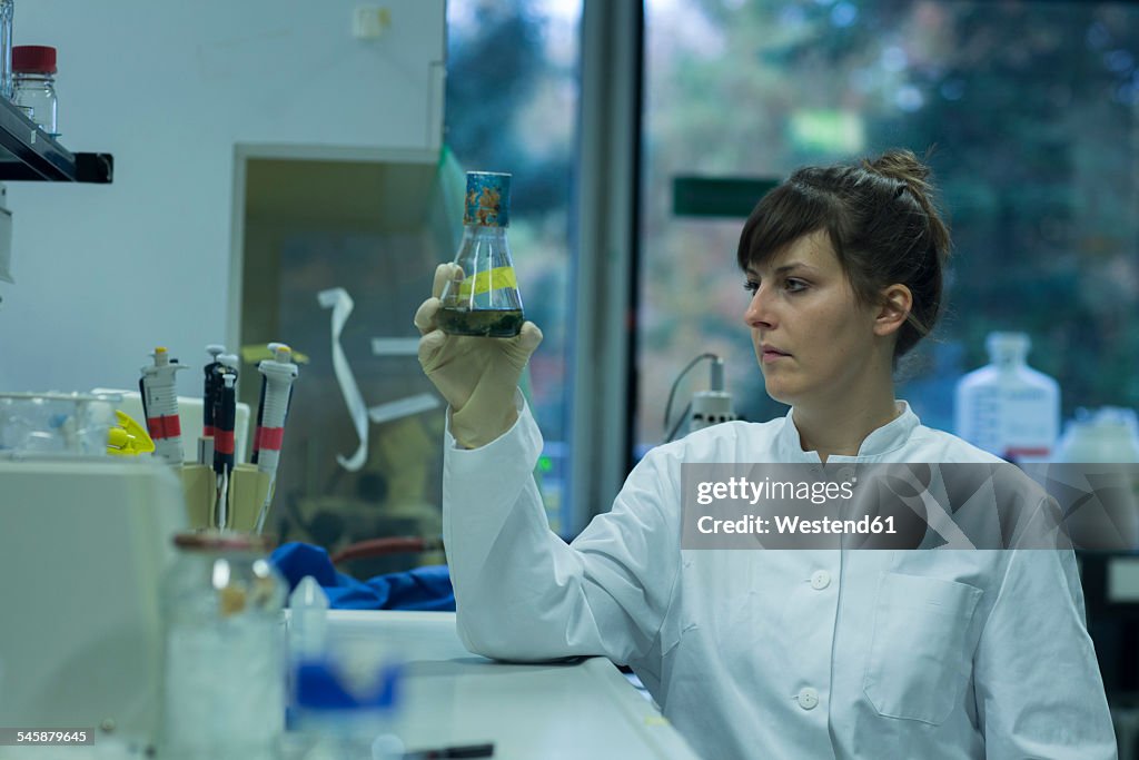 Young female natural scientist working at labroratory