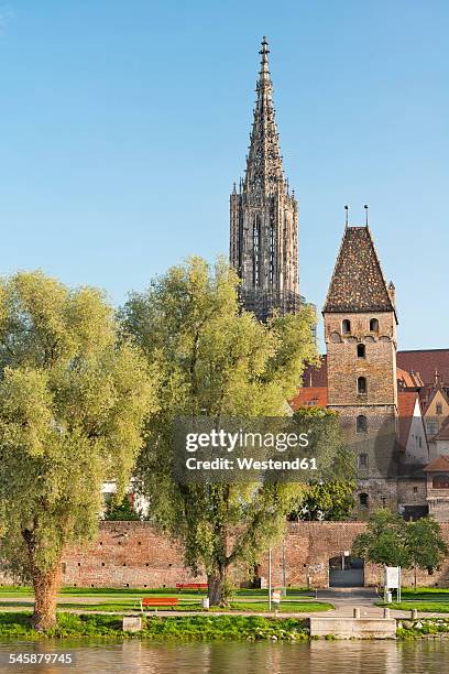 germany, baden-wuerttemberg, ulm, minster and metzgerturm at river danube - ulm minster stock pictures, royalty-free photos & images