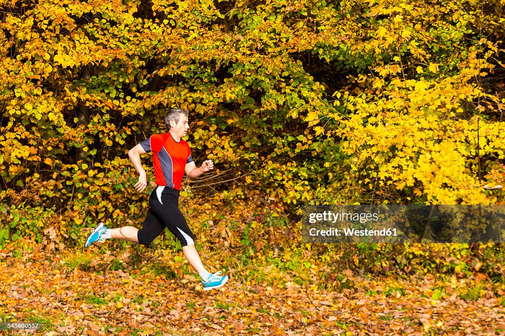 Man running in autumnal forest