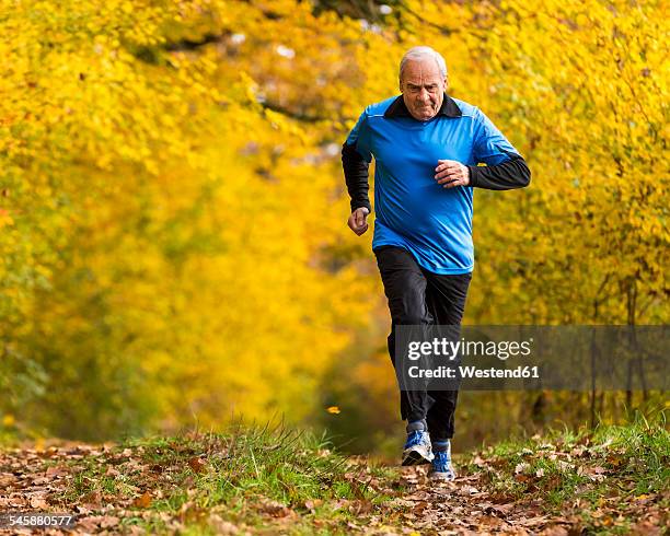 senior man running in autumnal forest - beweglichkeit stock-fotos und bilder
