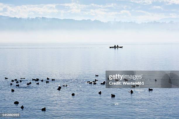 germany, bavaria, upper bavaria, starnberg, lake starnberg, couple in a rowing boat - starnberger see stock-fotos und bilder