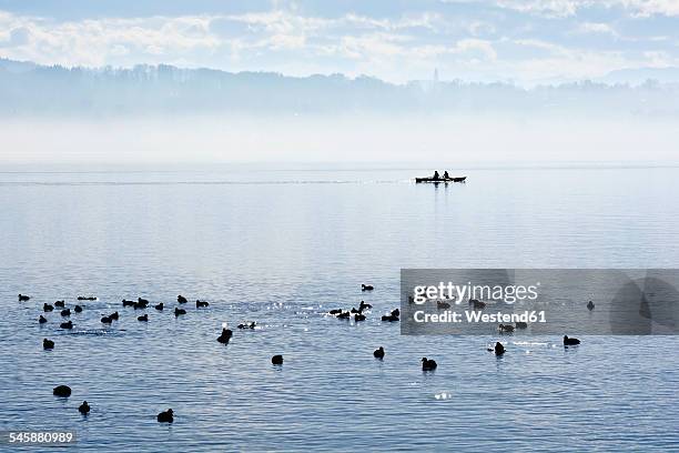 germany, bavaria, upper bavaria, starnberg, lake starnberg, couple in a rowing boat - starnberg photos et images de collection