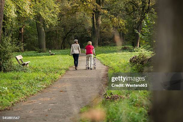 senior woman and granddaughter walking together in a park, back view - oma rollator stockfoto's en -beelden