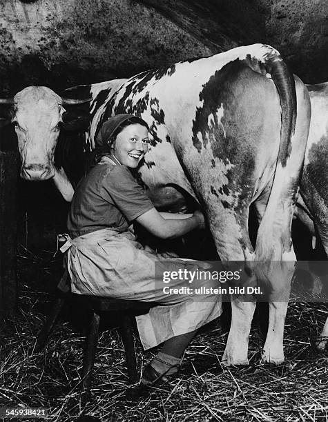 Arbeitsmaid aus dem Lager Habnith imFichtelgebirge beim Melken- veröffentlicht September 1939